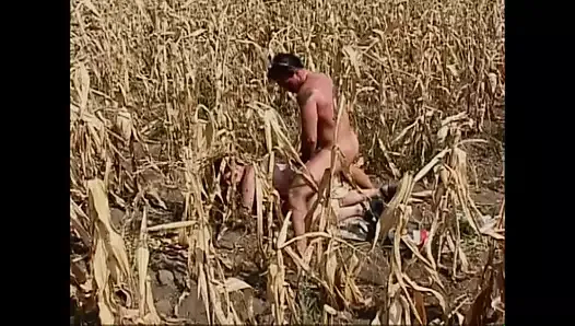 vahşi vintage pussies (tam film)