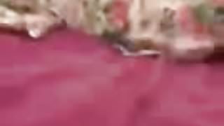 genclerden sakso denemesi