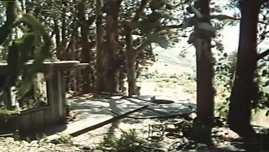 Porno'nun Altın Çağı – Annette Haven 2